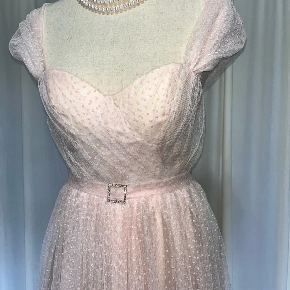 Vintage Pink Gown -Glinda from Wicked and The Wizard of Oz Halloween Costume - Picture 4 of 11